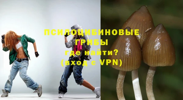 PSILOCYBIN Баксан