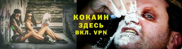 PSILOCYBIN Баксан