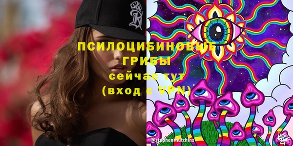 PSILOCYBIN Баксан