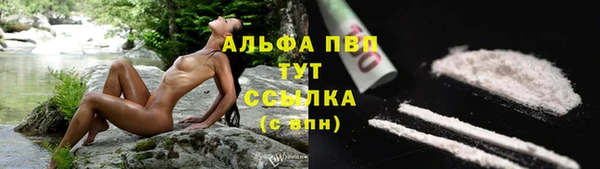 соль ск Балахна