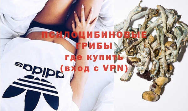 соль ск Балахна