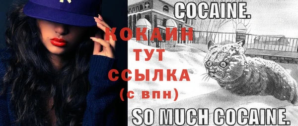 PSILOCYBIN Баксан