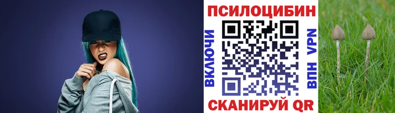 Галлюциногенные грибы прущие грибы  цены наркотик  Болхов 